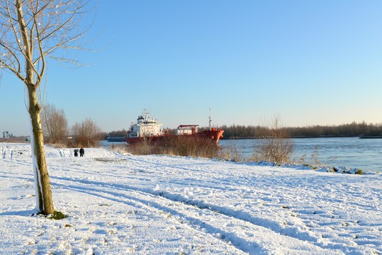 Hartje Winter Arrangement
