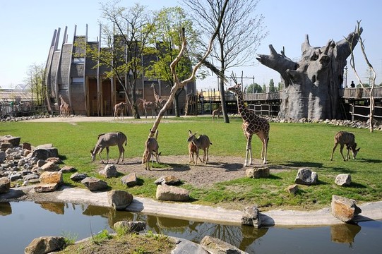 Blijdorp Zoo